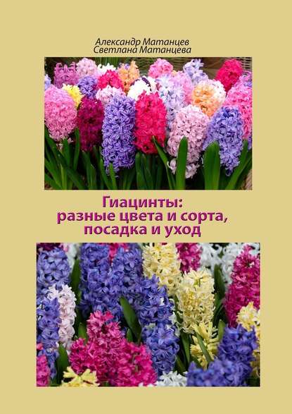 Александр Матанцев — Гиацинты: разные цвета и сорта, посадка и уход