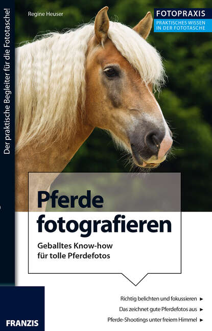 Foto Praxis Pferde fotografieren (Regine  Heuser). 