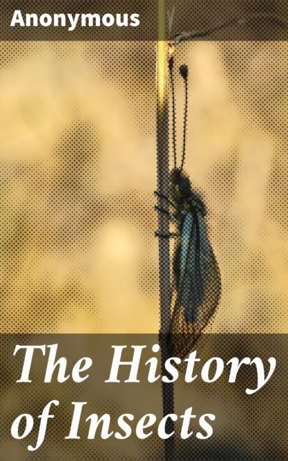 Unknown - The History of Insects