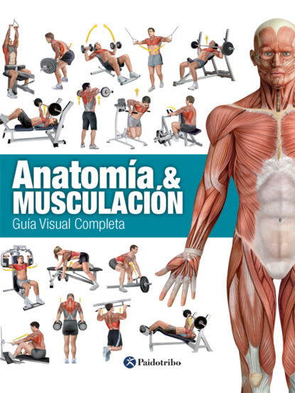 Ricardo Cánovas Linares - Anatomía & musculación