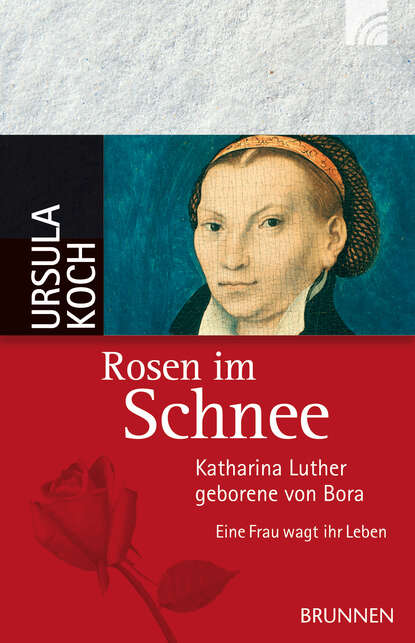 

Rosen im Schnee