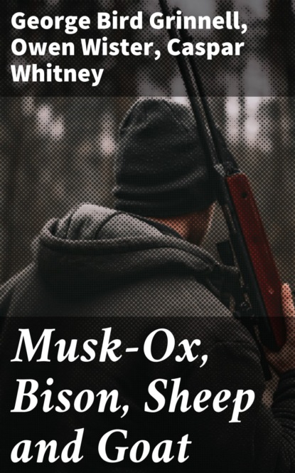Owen  Wister - Musk-Ox, Bison, Sheep and Goat