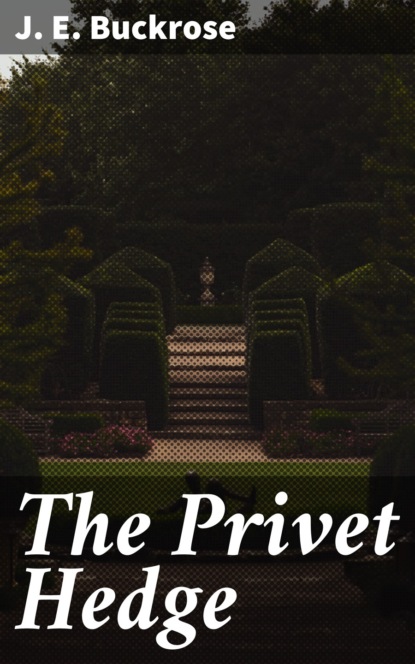 

The Privet Hedge