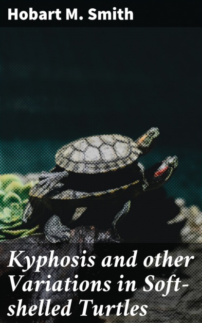 

Kyphosis and other Variations in Soft-shelled Turtles