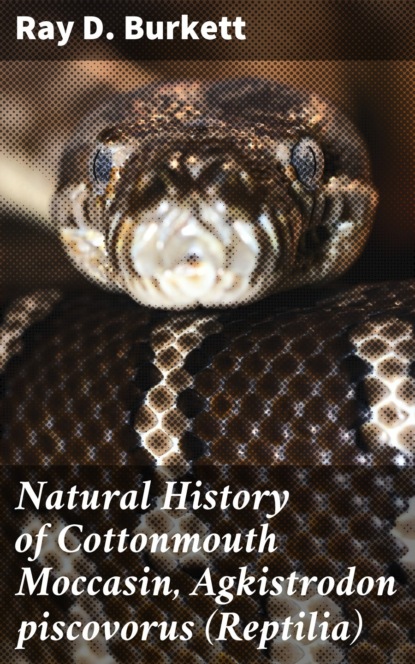 

Natural History of Cottonmouth Moccasin, Agkistrodon piscovorus (Reptilia)