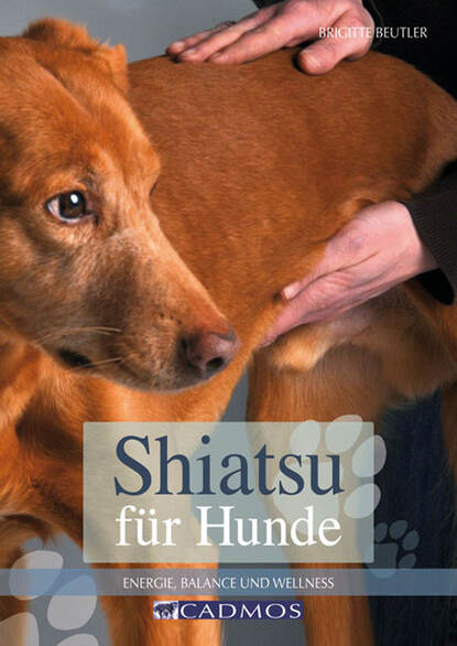 Shiatsu für Hunde (Brigitte Beutler). 