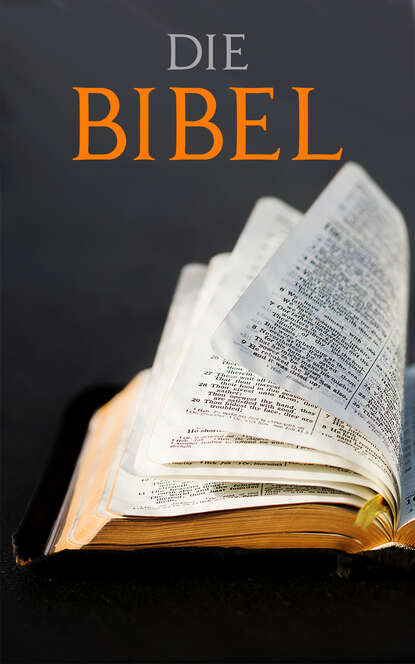 Diverse Autoren - Die BIBEL