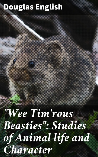 Douglas English - "Wee Tim'rous Beasties": Studies of Animal life and Character