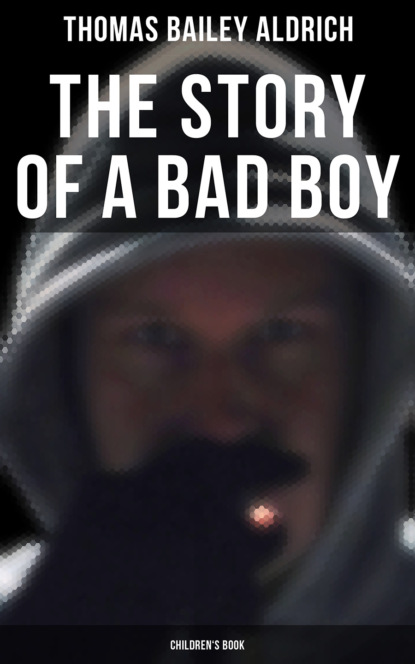 Thomas Bailey Aldrich - The Story of a Bad Boy (Children's Book)