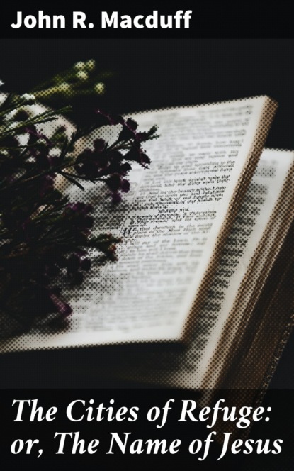 

The Cities of Refuge: or, The Name of Jesus