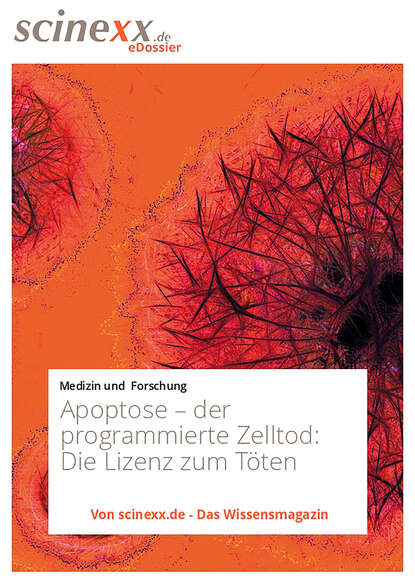 Apoptose - der programmierte Zelltod - Henryk Hodam