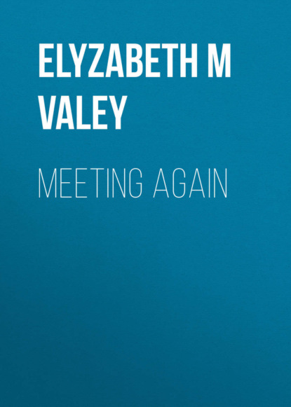 Elyzabeth M VaLey — Meeting Again