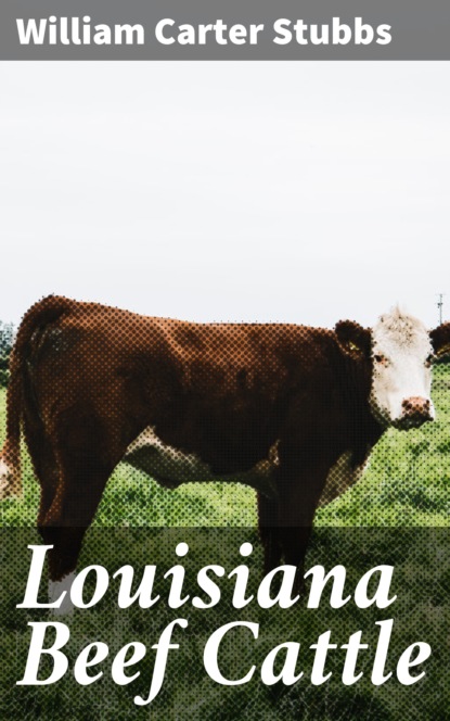 

Louisiana Beef Cattle