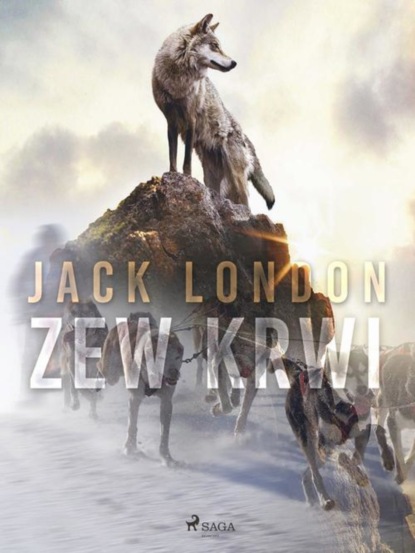 

Zew krwi
