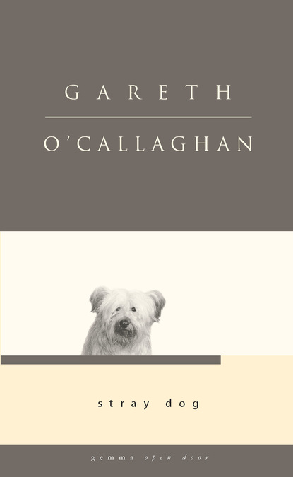 Gareth O'Callaghan - Stray Dog