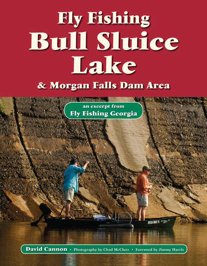 David Cannon L. - Fly Fishing Bull Sluice Lake & Morgan Falls Dam Area