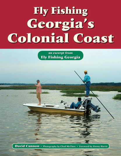 David Cannon L. - Fly Fishing Georgia's Colonial Coast