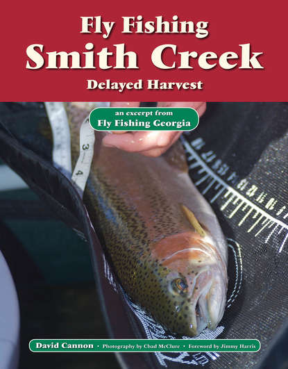 David Cannon L. - Fly Fishing Smith Creek, Delayed Harvest