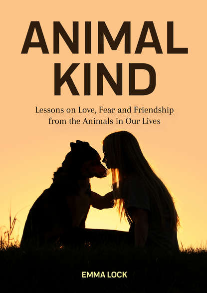 

Animal Kind