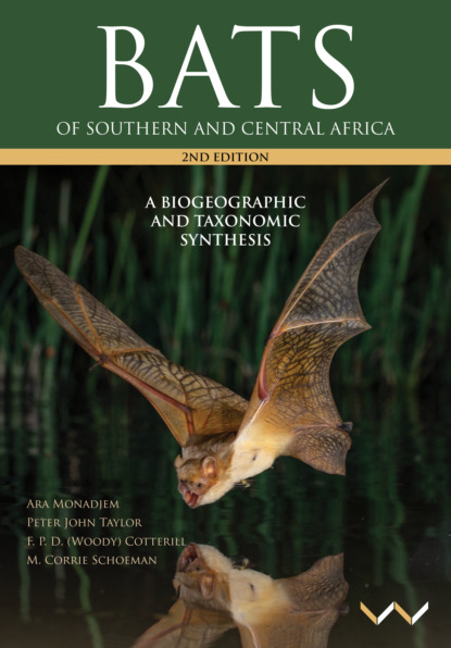 

Bats of Southern and Central Africa
