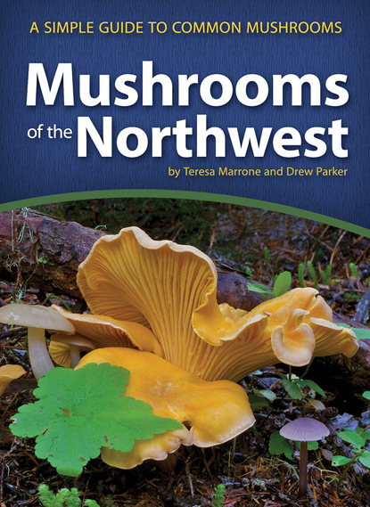 Teresa Marrone - Mushrooms of the Northwest