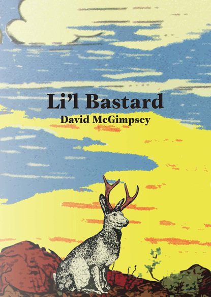 David McGimpsey - Li'l Bastard