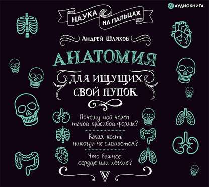 Андрей Шляхов — Анатомия для ищущих свой пупок