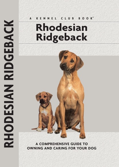 Ann Chamberlain - Rhodesian Ridgeback