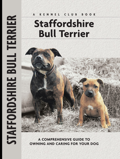 Jane Hogg Frome - Staffordshire Bull Terrier