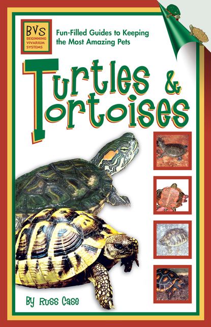 Russ Case - Turtles & Tortoises