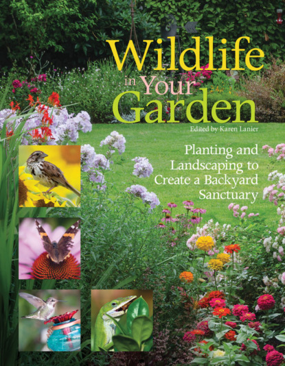 

Wildlife in Your Garden