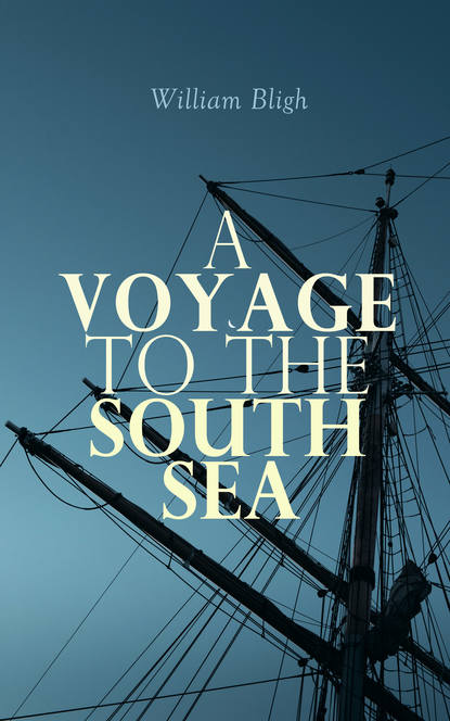 

A Voyage to the South Sea