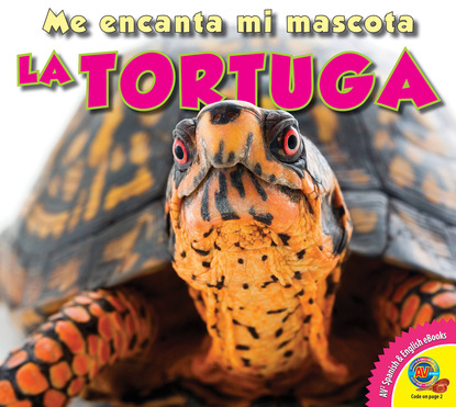 

La tortuga