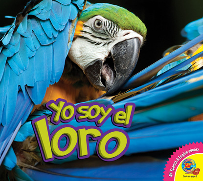 

El loro