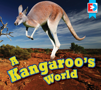 

A Kangaroo's World
