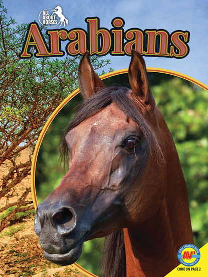 

Arabians