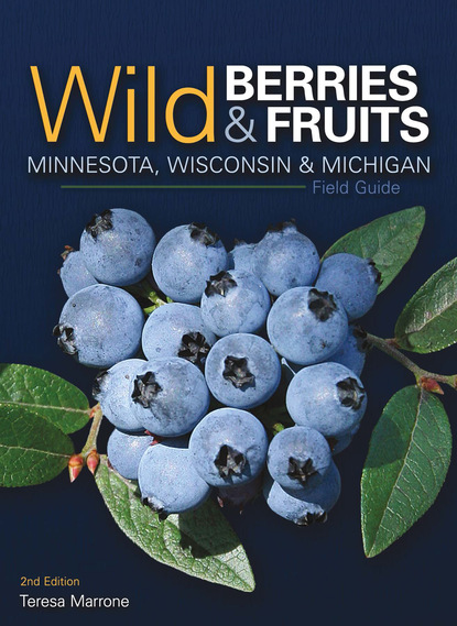 Teresa Marrone - Wild Berries & Fruits Field Guide of Minnesota, Wisconsin & Michigan