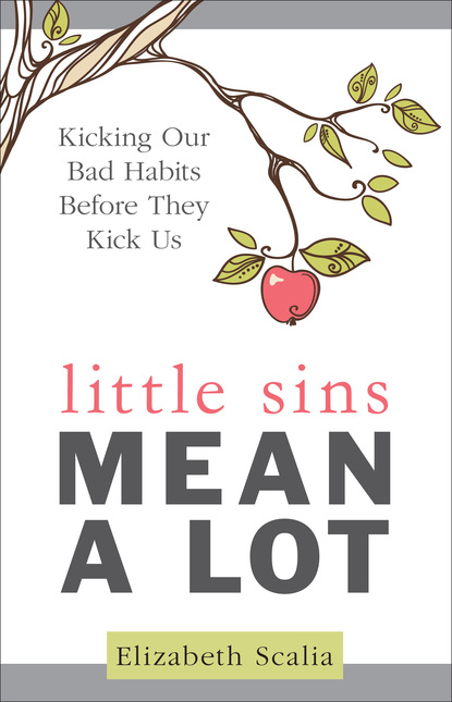 Elizabeth Scalia - Little Sins Mean a Lot