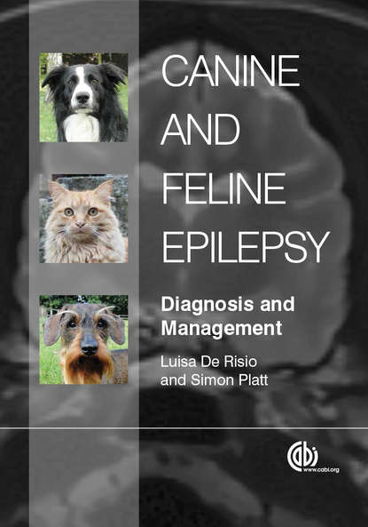 Luisa De Risio - Canine and Feline Epilepsy