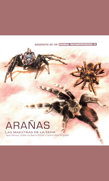 Laura López Argoytia - Arañas