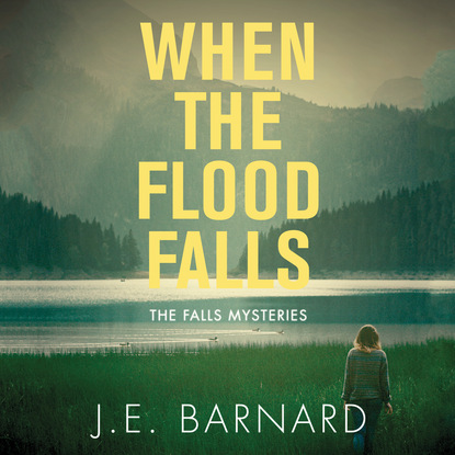 When the Flood Falls - The Falls Mysteries, Book 1 (Unabridged) - J. E. Barnard