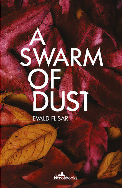 

A Swarm of Dust