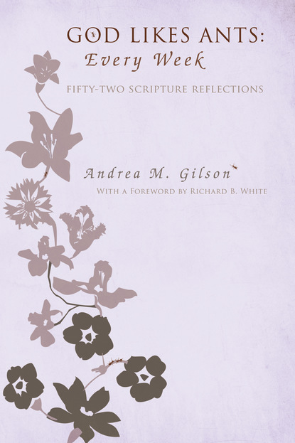 Andrea M. Gilson - God Likes Ants: Every Week