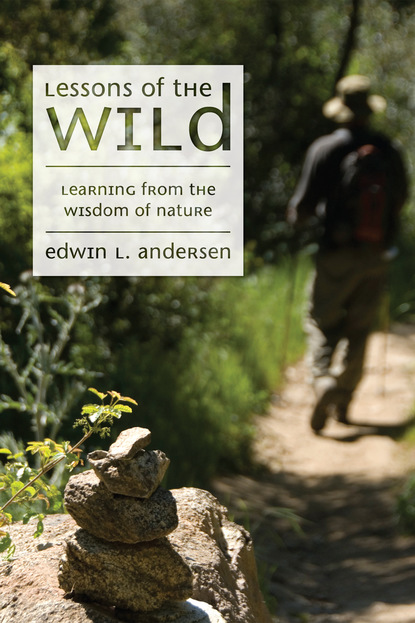 Edwin L. Andersen - Lessons of the Wild