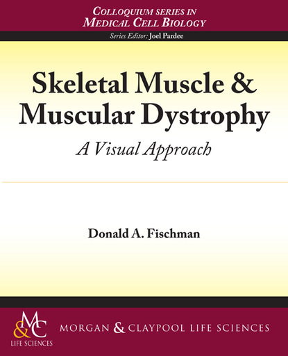 

Skeletal Muscle & Muscular Dystrophy