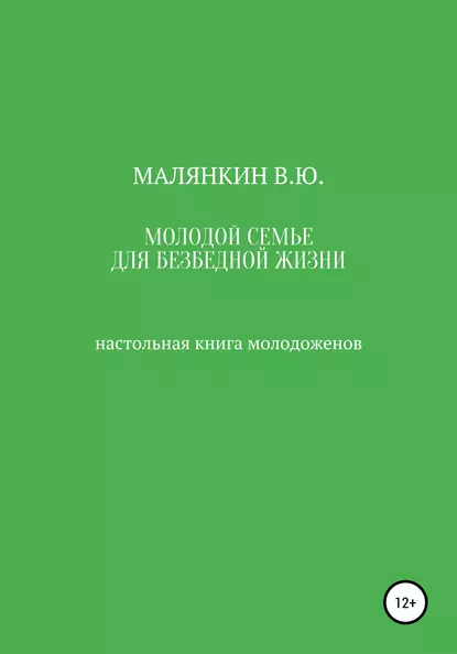 Обложка книги Молодой семье для безбедной жизни. Настольная книга молодоженов, Владимир Юрьевич Малянкин