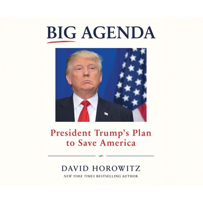David Horowitz - Big Agenda - President Trump's Plan to Save America (Unabridged)