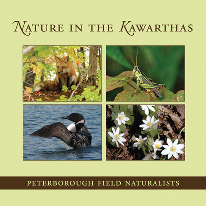 Peterborough Field Naturalists - Nature in the Kawarthas