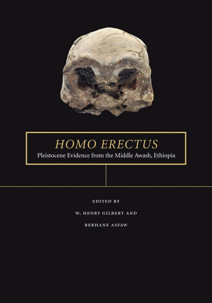 Группа авторов - Homo erectus