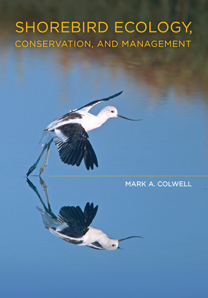 Dr. Mark A. Colwell - Shorebird Ecology, Conservation, and Management